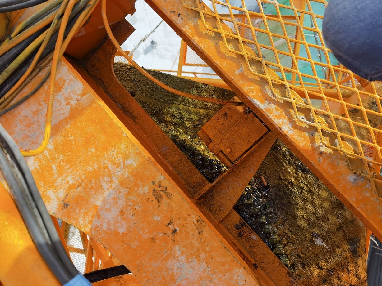 微信图片_202105232026021.jpg 微信图片_202105232026021.jpg