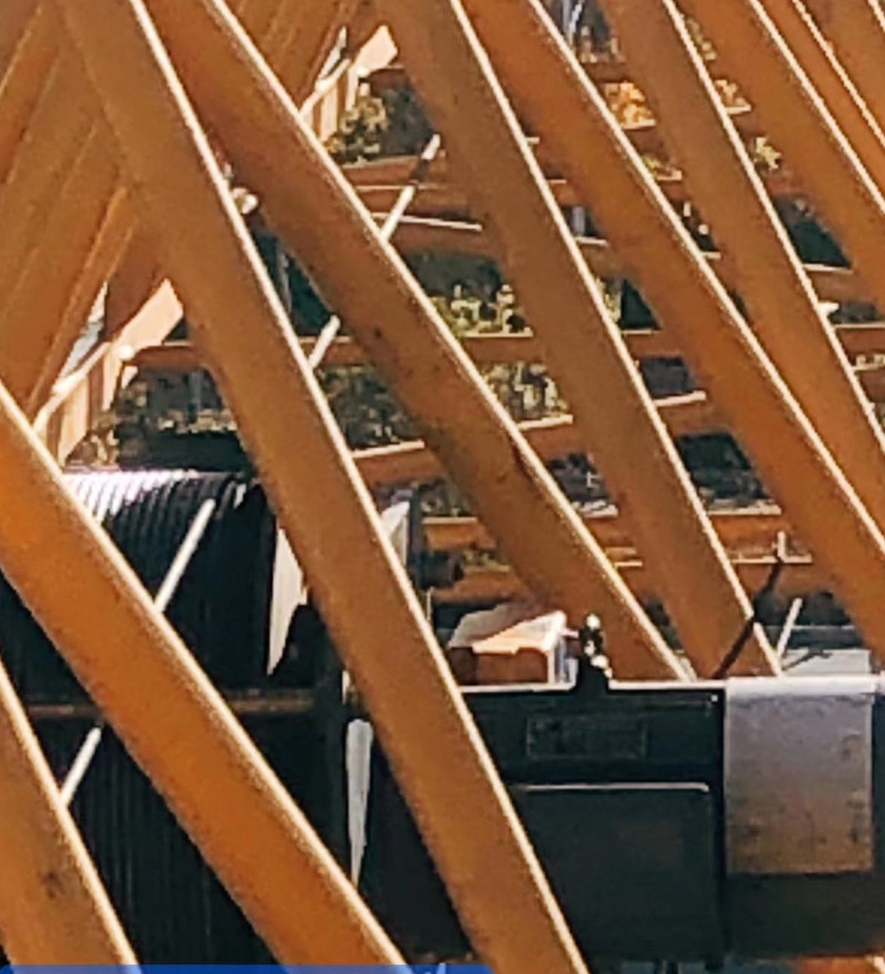 微信图片_202111301333483.jpg 微信图片_202111301333483.jpg