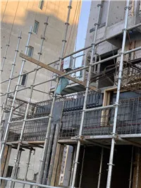 1 (11).jpg 1 (11).jpg