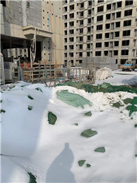 5 (30).jpg 5 (30).jpg