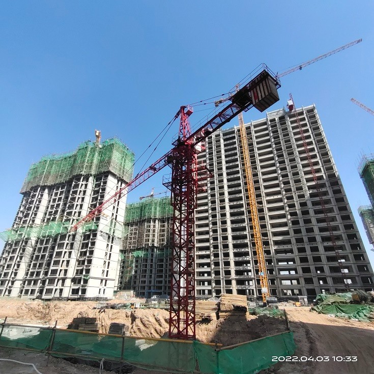 IMG_20220403_103347.jpg IMG_20220403_103347.jpg