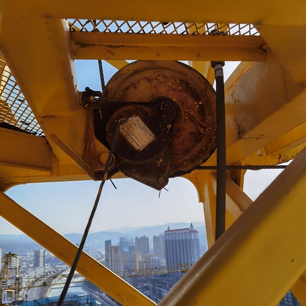 IMG_20230303_093205.jpg IMG_20230303_093205.jpg