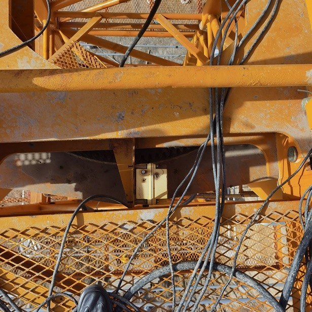 IMG_20230312_090826.jpg IMG_20230312_090826.jpg