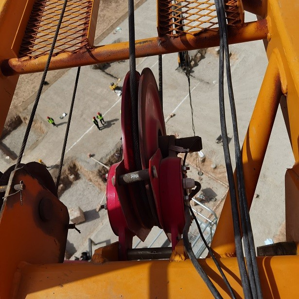 IMG_20230409_103008.jpg IMG_20230409_103008.jpg