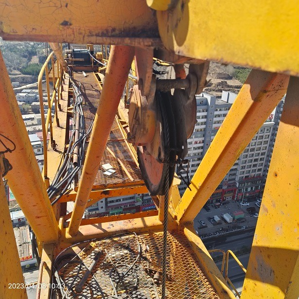 1680943685941.jpg 1680943685941.jpg