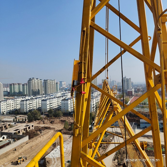 IMG_20221107_133101.jpg IMG_20221107_133101.jpg