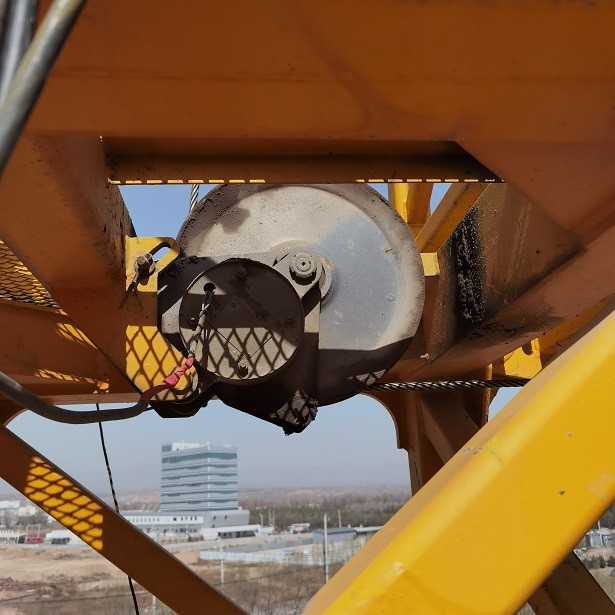 IMG_20230302_115902.jpg IMG_20230302_115902.jpg