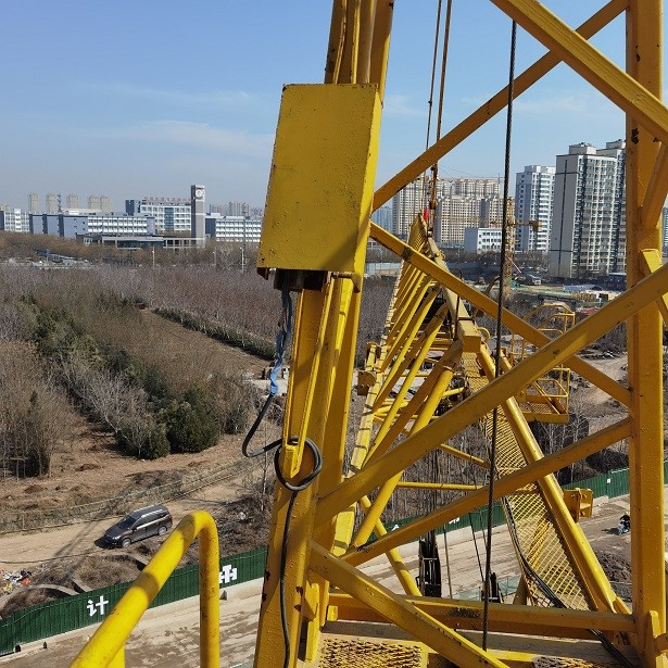 IMG_20230302_120103.jpg IMG_20230302_120103.jpg