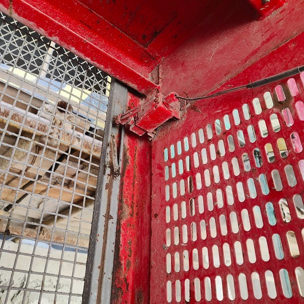 IMG_20230602_102949.jpg IMG_20230602_102949.jpg