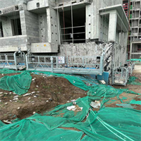 1 (17).jpg 1 (17).jpg